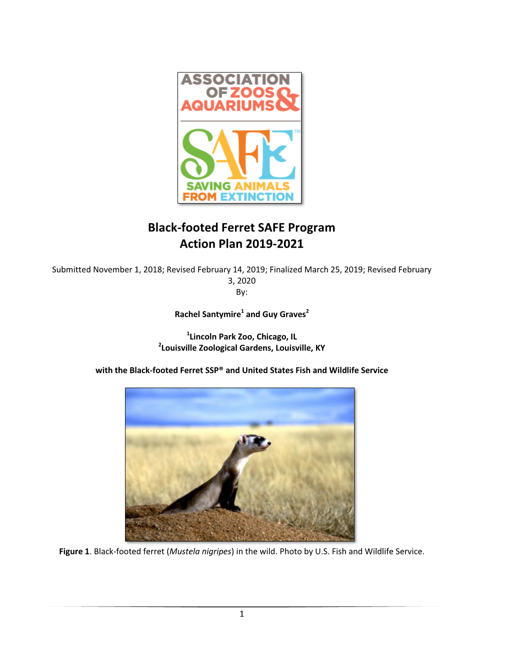 Black-Footed Ferret SAFE Program Action Plan 2019-2021