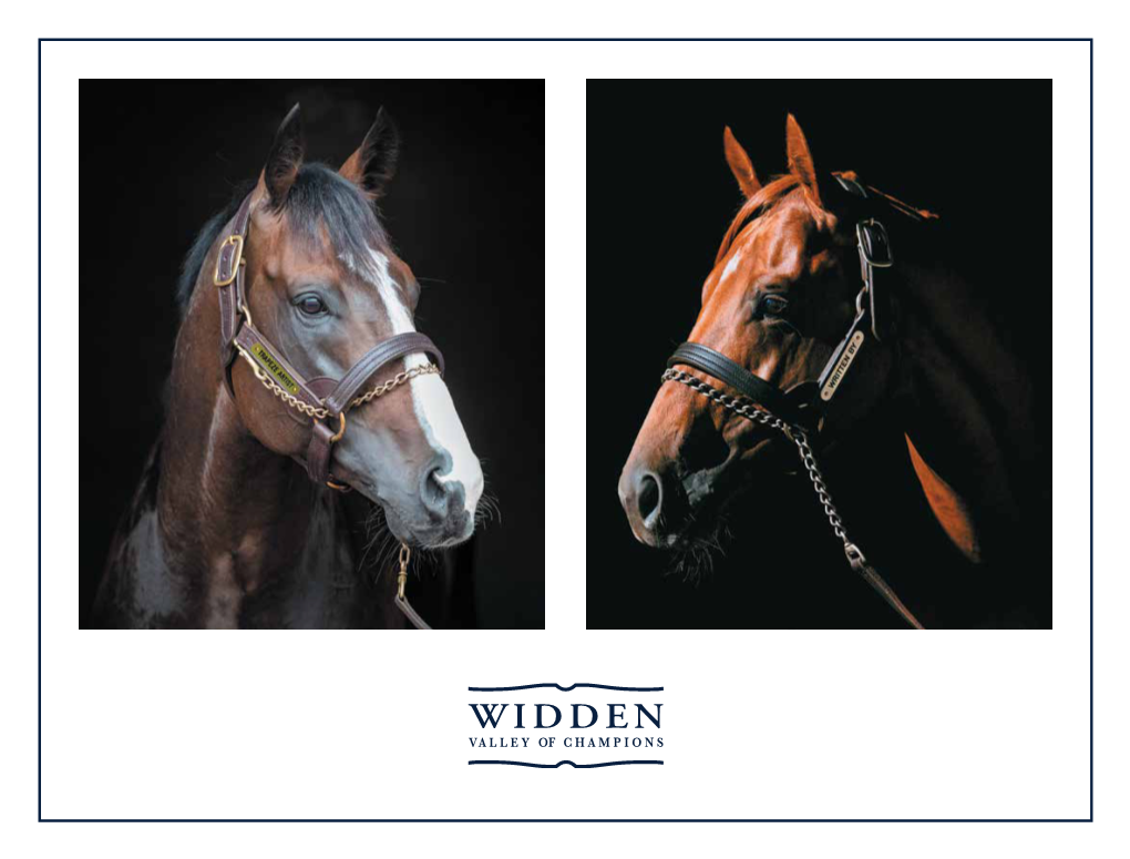 Widden Brochure 2019.Pdf