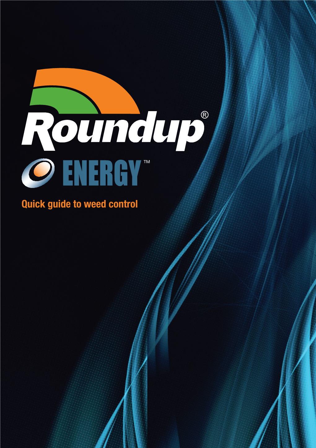 Quick Guide Roundup Energy