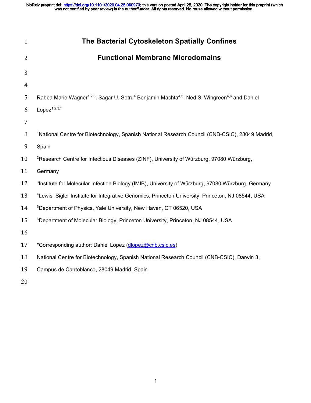 The Bacterial Cytoskeleton Spatially Confines Functional Membrane