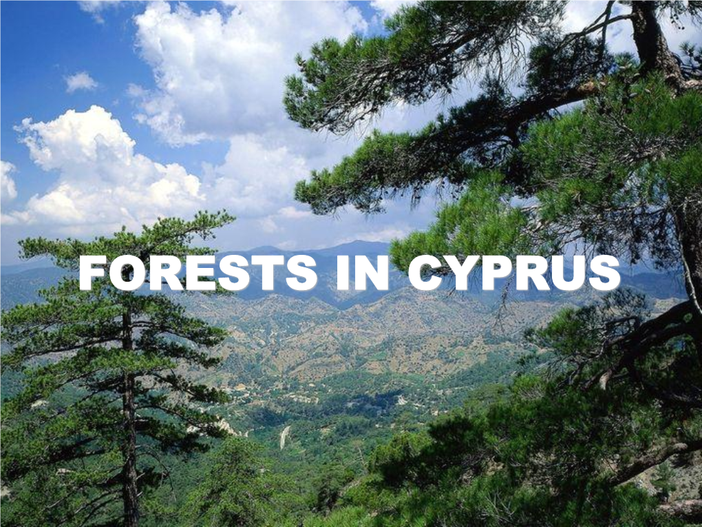 Forests in Cyprus