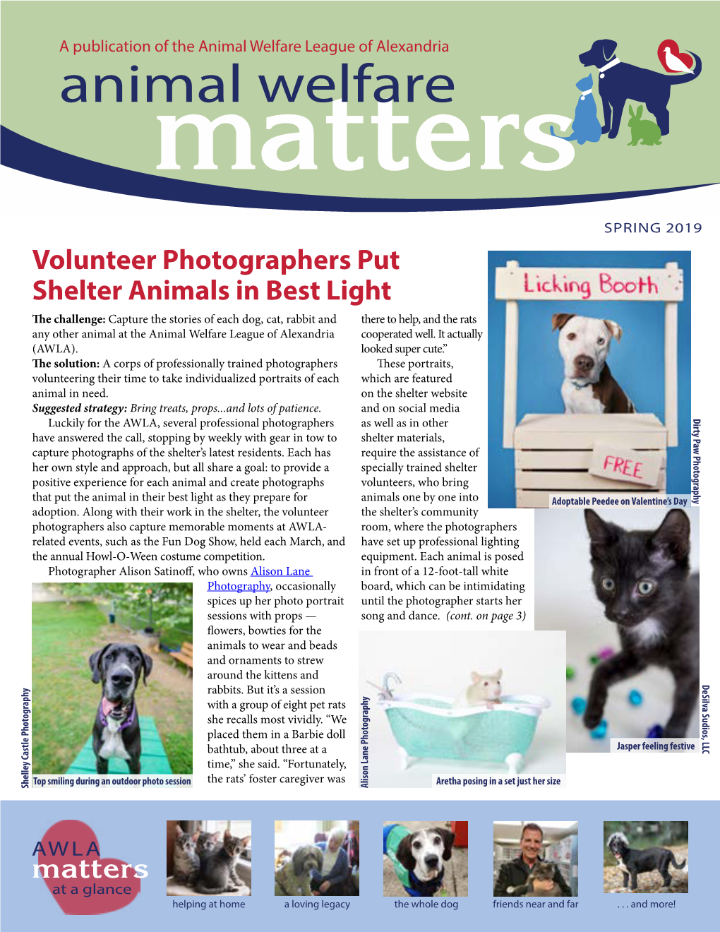 Volunteer Photographers Put Shelter Animals in Best Light