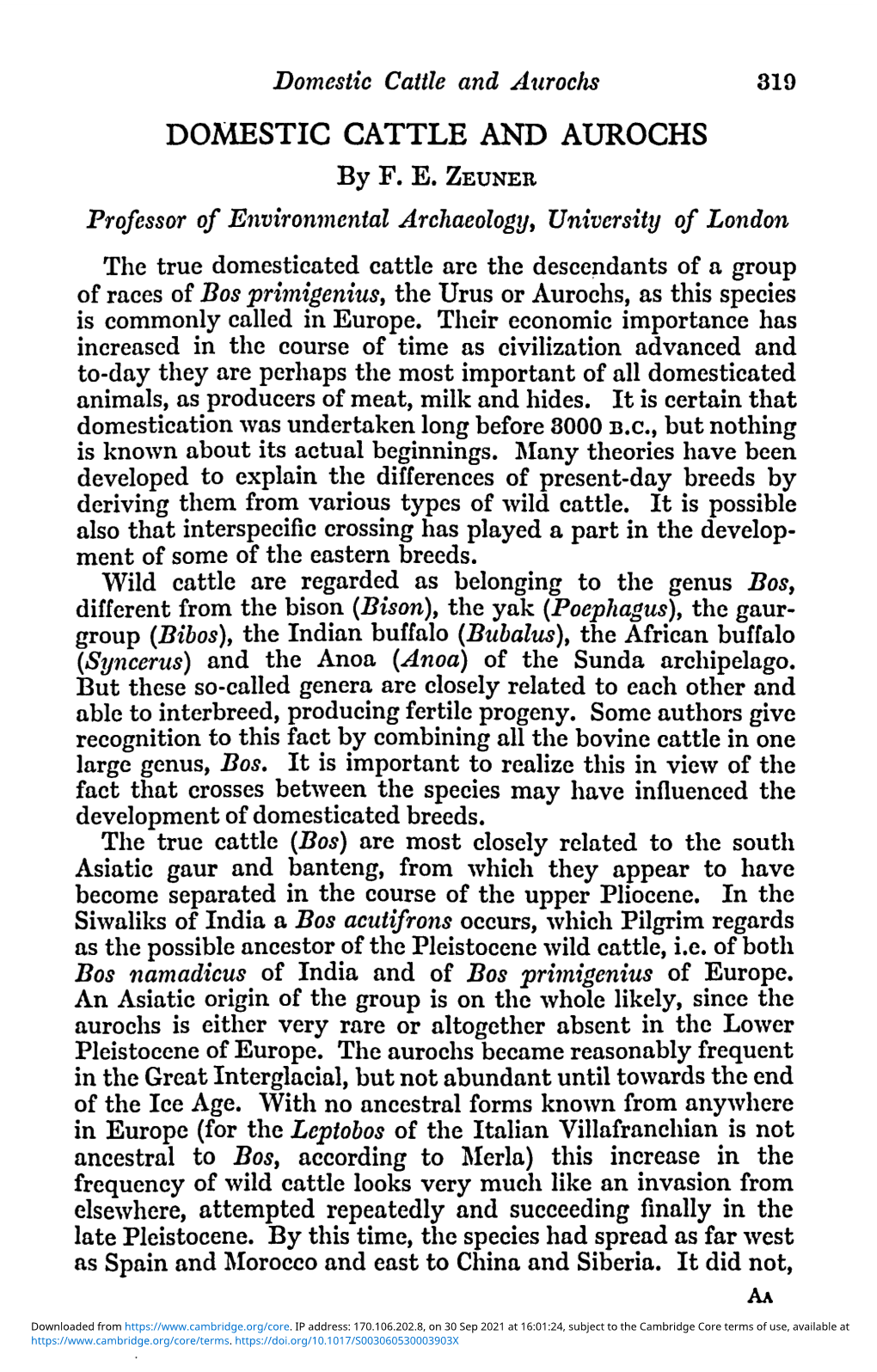 Domestic Cattle and Aurochs 319 DOMESTIC CATTLE and AUROCHS by F