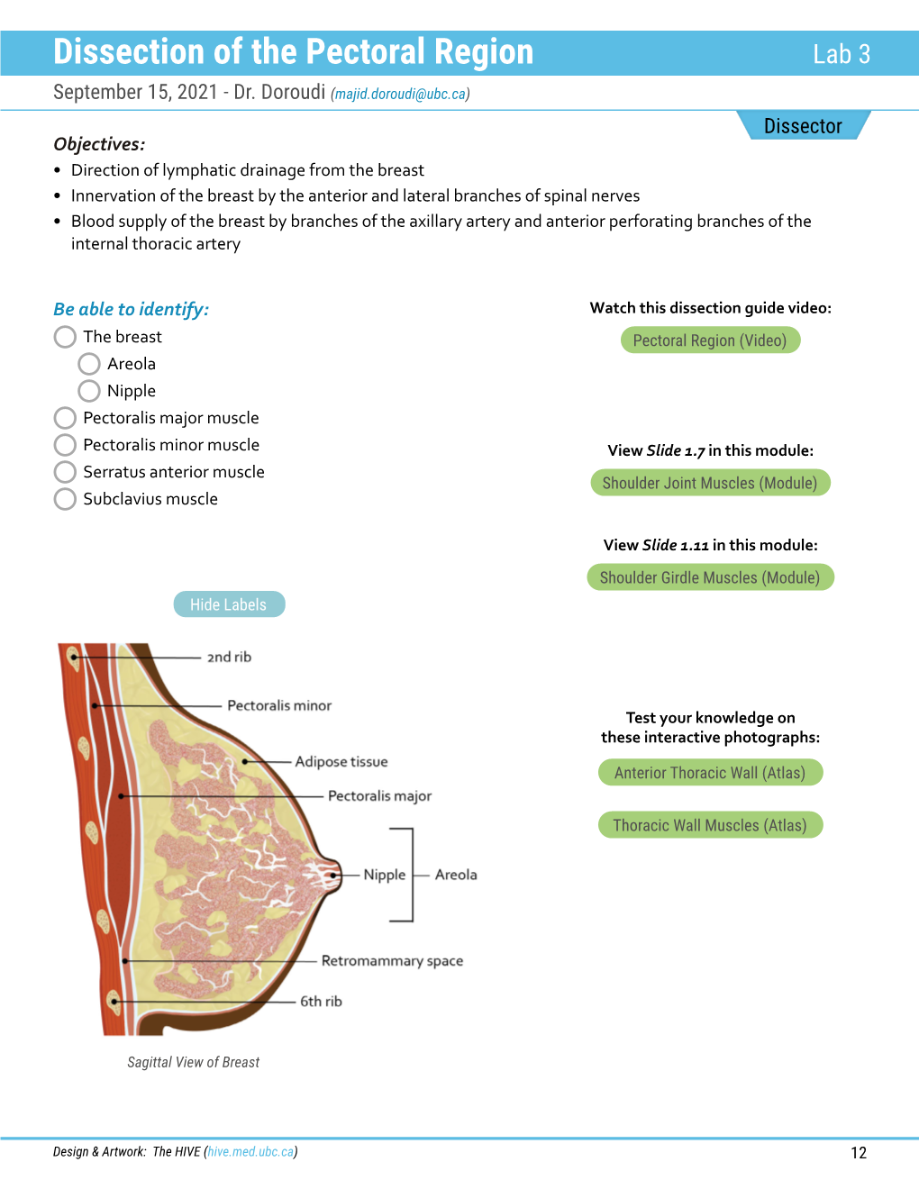 Dissection of the Pectoral Region Lab 3 September 15, 2021 - Dr