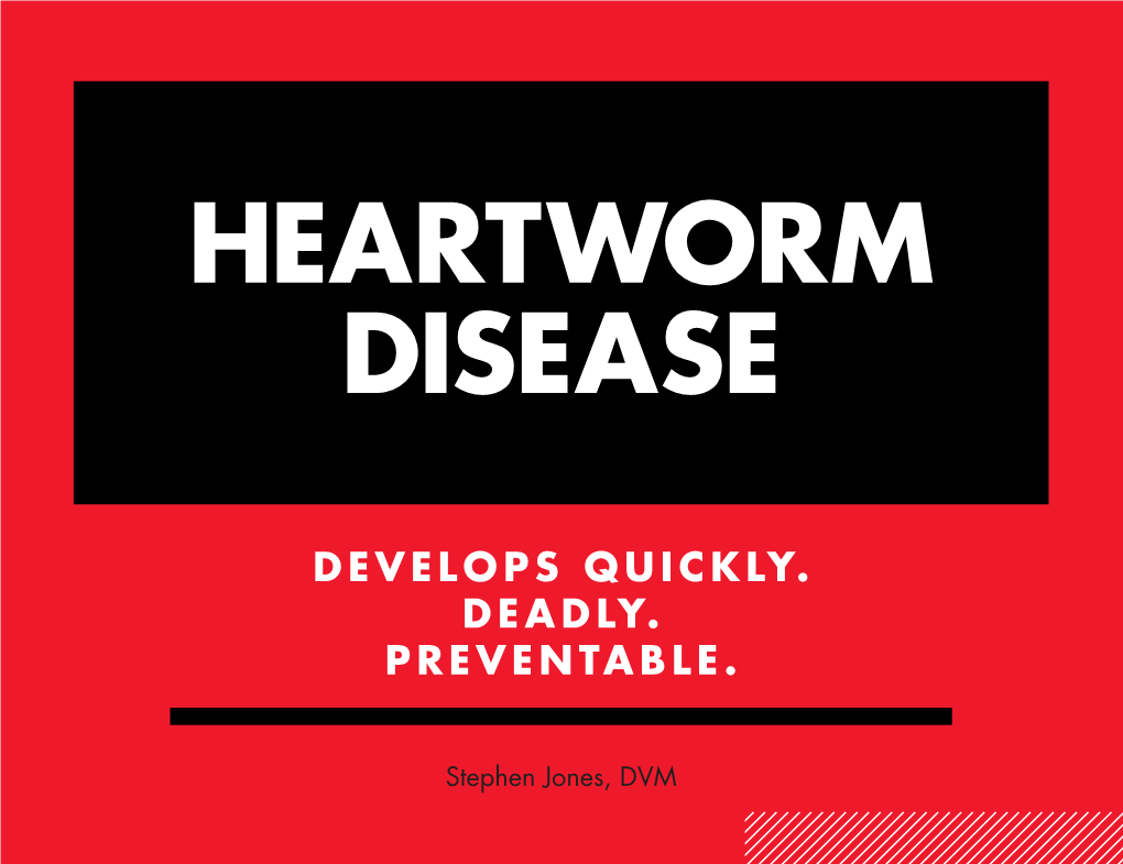 Heartworm Disease