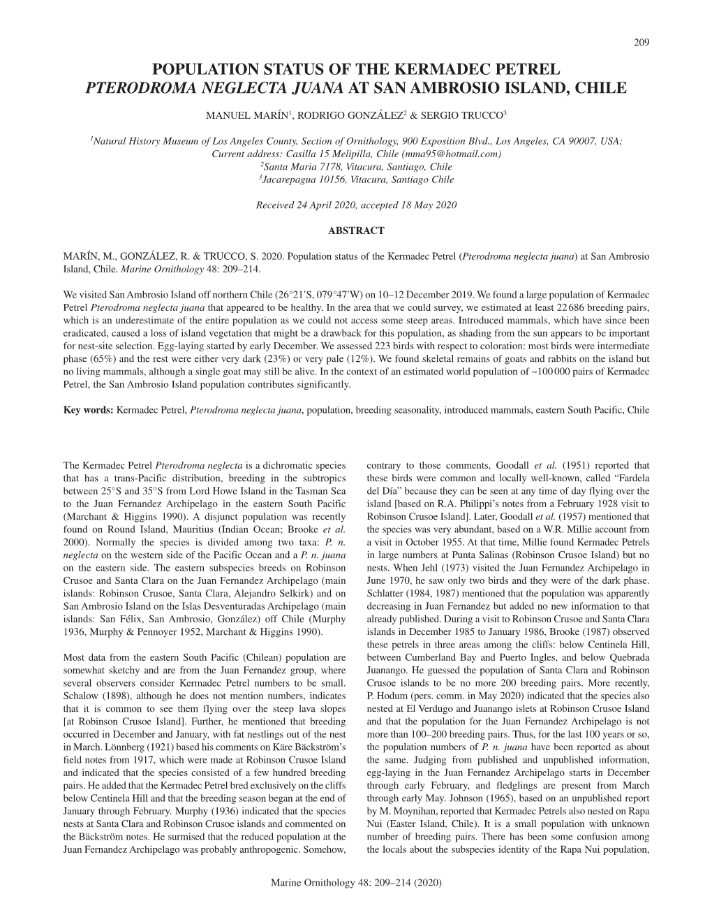 Population Status of the Kermadec Petrel Pterodroma Neglecta Juana at San Ambrosio Island, Chile