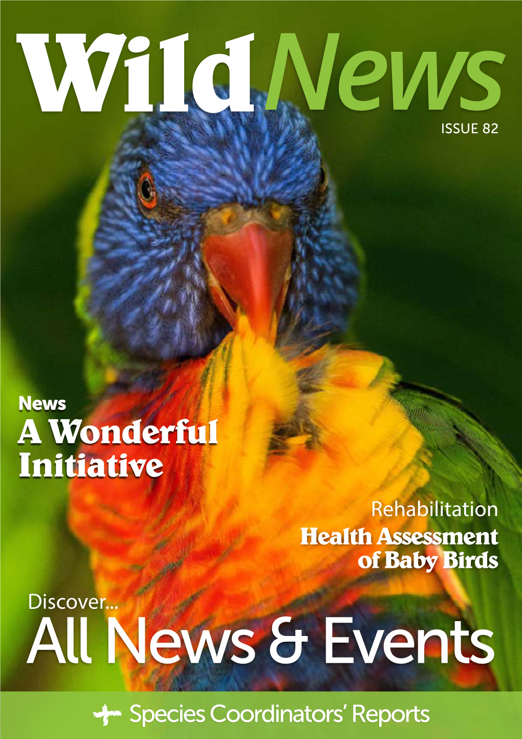 A Wonderful Initiative Rehabilitation Health Assessment of Baby Birds Discover