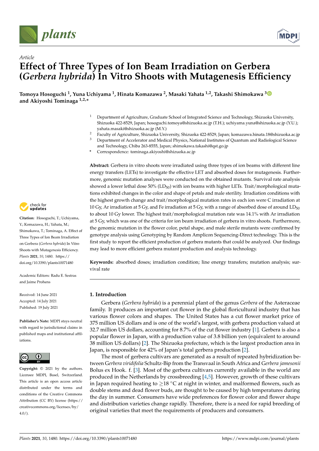 Effect of Three Types of Ion Beam Irradiation on Gerbera (Gerbera Hybrida) in Vitro Shoots with Mutagenesis Efﬁciency