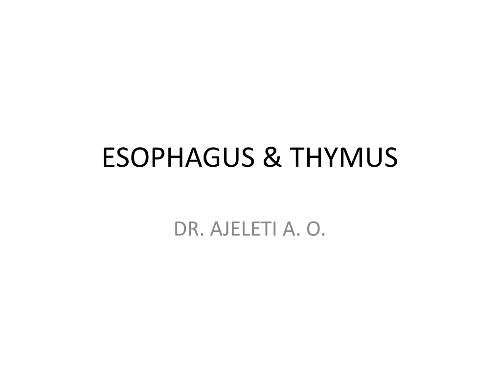 Esophagus & Thymus