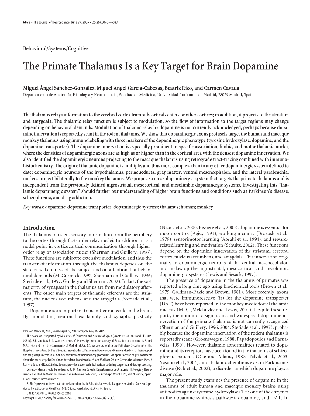 The Primate Thalamus Is a Key Target for Brain Dopamine