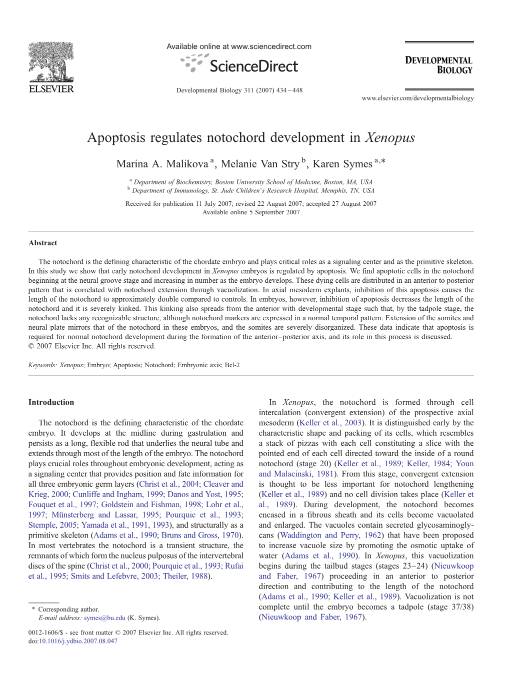 Apoptosis Regulates Notochord Development in Xenopus ⁎ Marina A