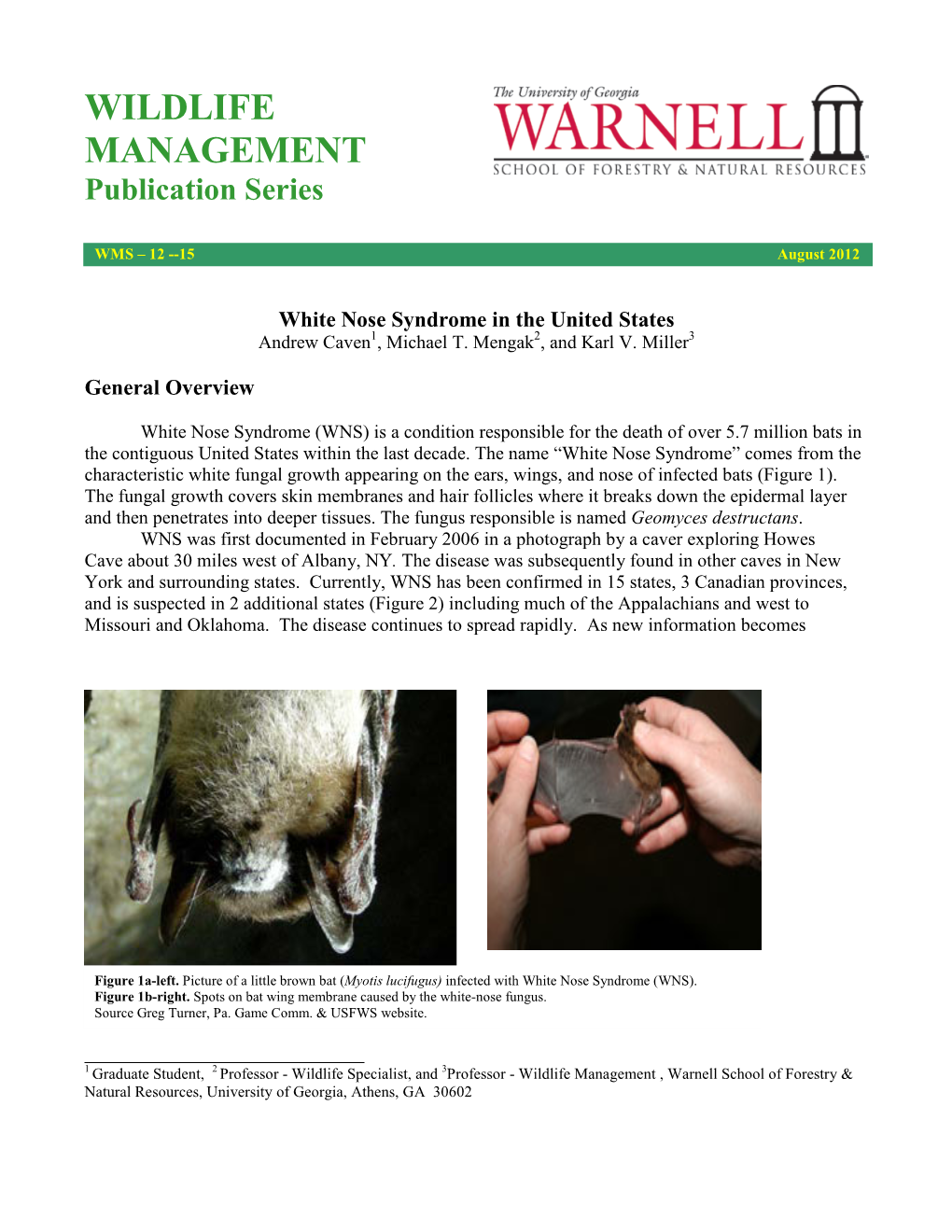 White Nose Syndrome.Pdf