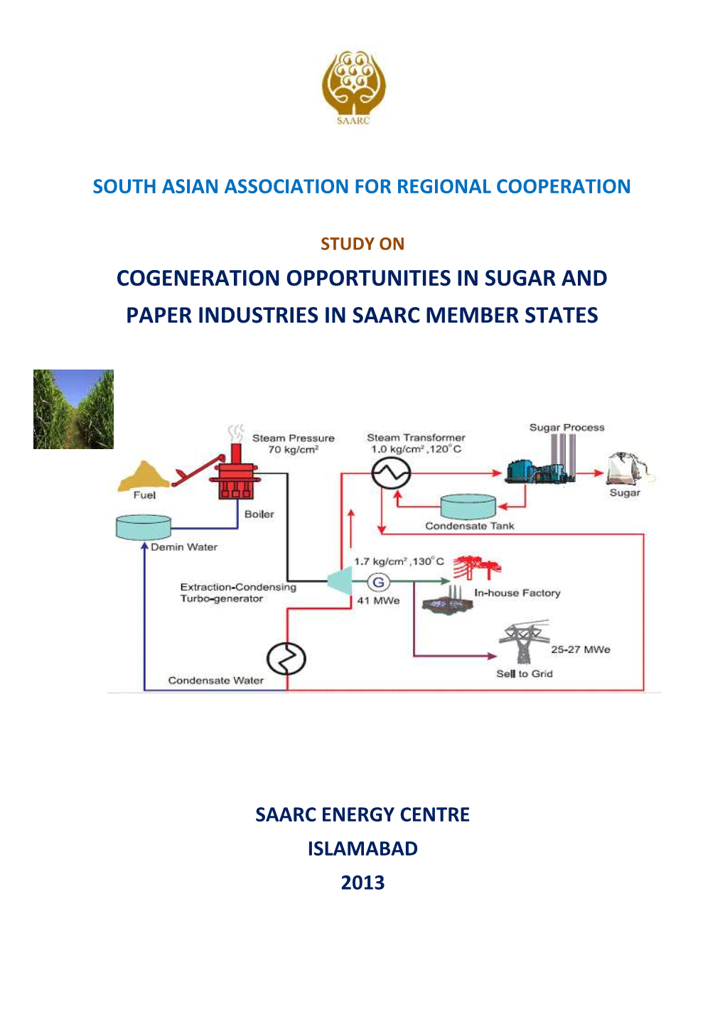 Cogeneration Opportunities in Sugar and Paper Industries in Saarc Member States