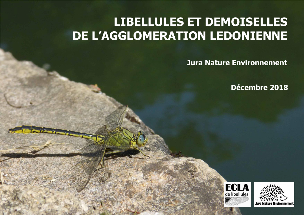 Libellules Et Demoiselles De L'agglomeration Ledonienne