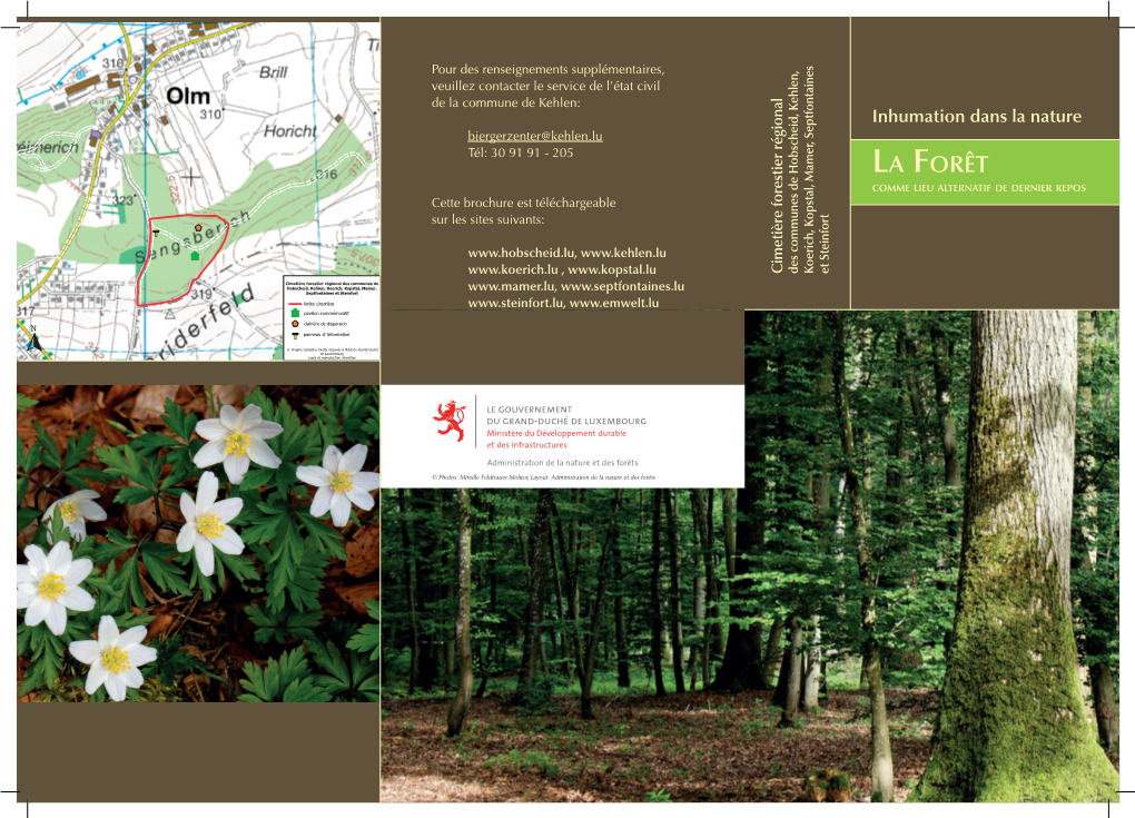 La Forêt Comme Lieu Alternatif De Dernier Repos Cette Brochure Est Téléchargeable Sur Les Sites Suivants