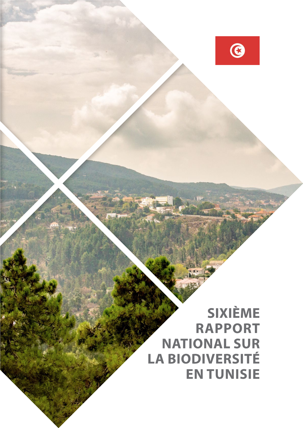 Sixième Rapport National Sur La Biodiversité EN TUNISIE Sixième Rapport National Sur La Biodiversité EN TUNISIE