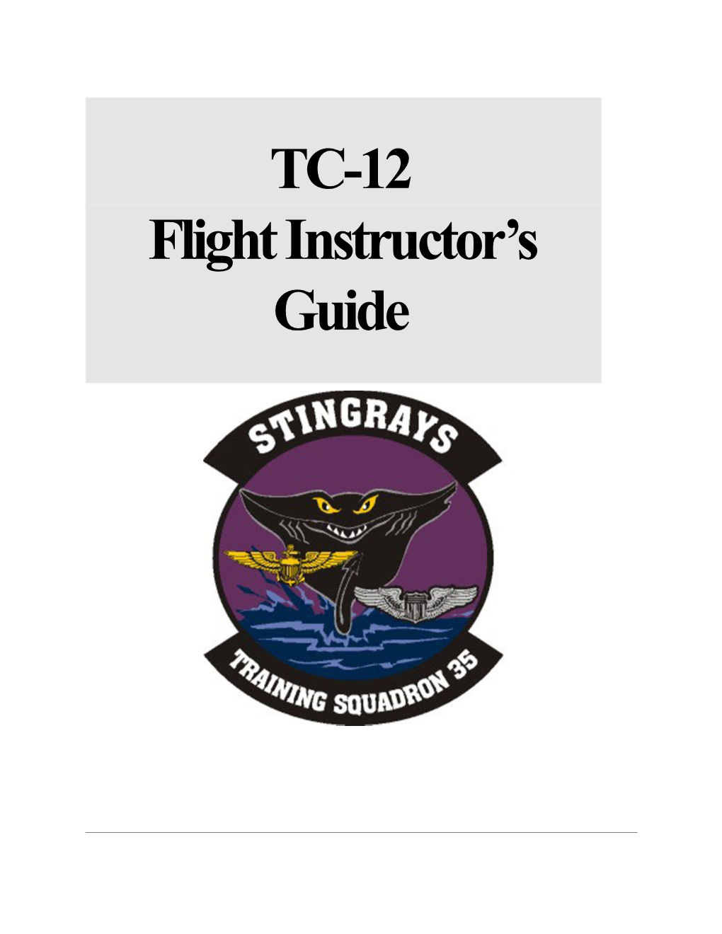 Flight Instructor S Guide