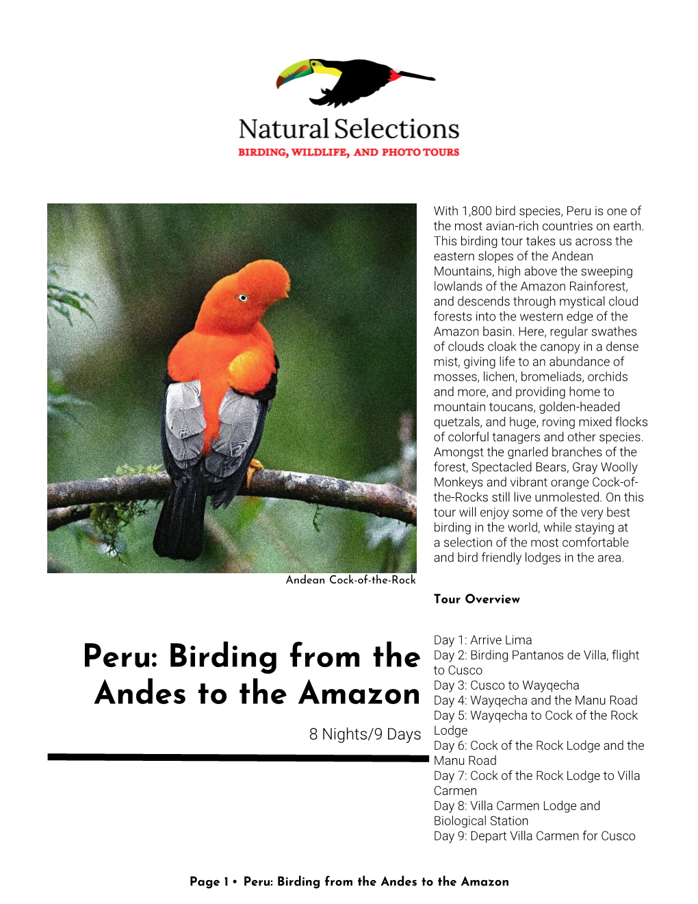Peru: Birding from the Andes to the Amazon