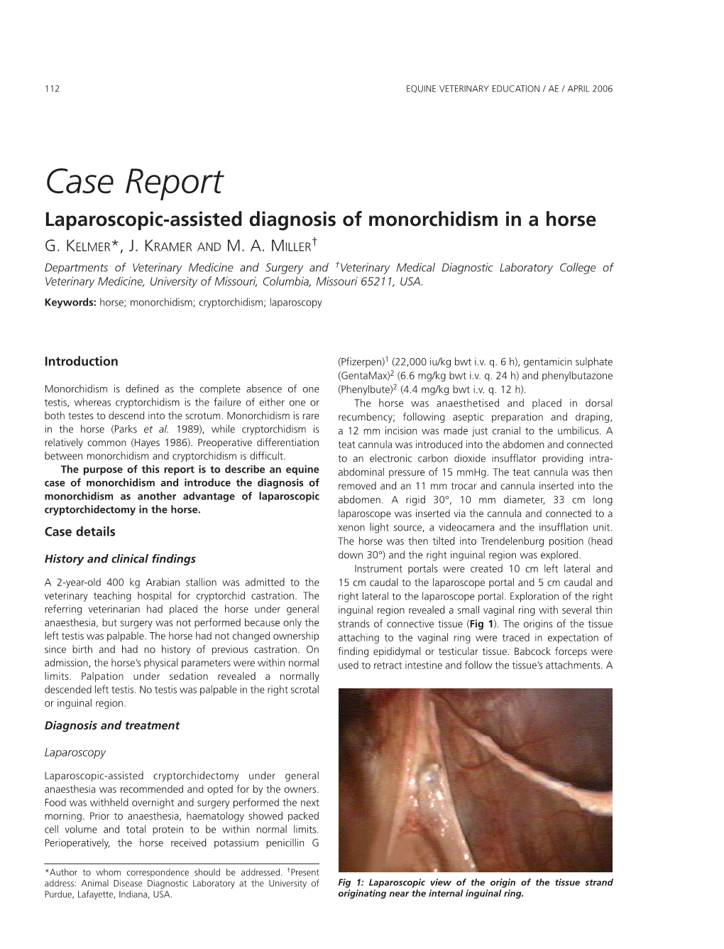 Case Report Laparoscopic-Assisted Diagnosis of Monorchidism in a Horse G