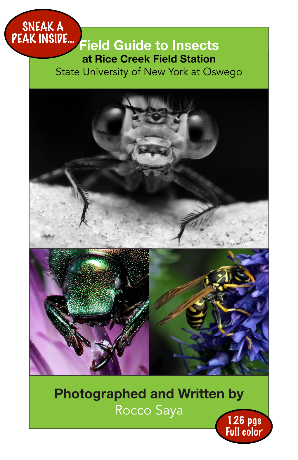 Field Guide to Insects Photographed and Written by Rocco Saya