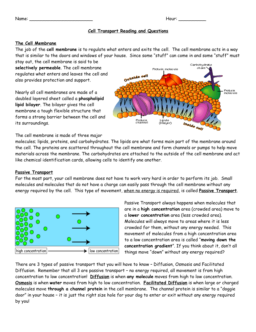 Cell Transport Reading and Questions