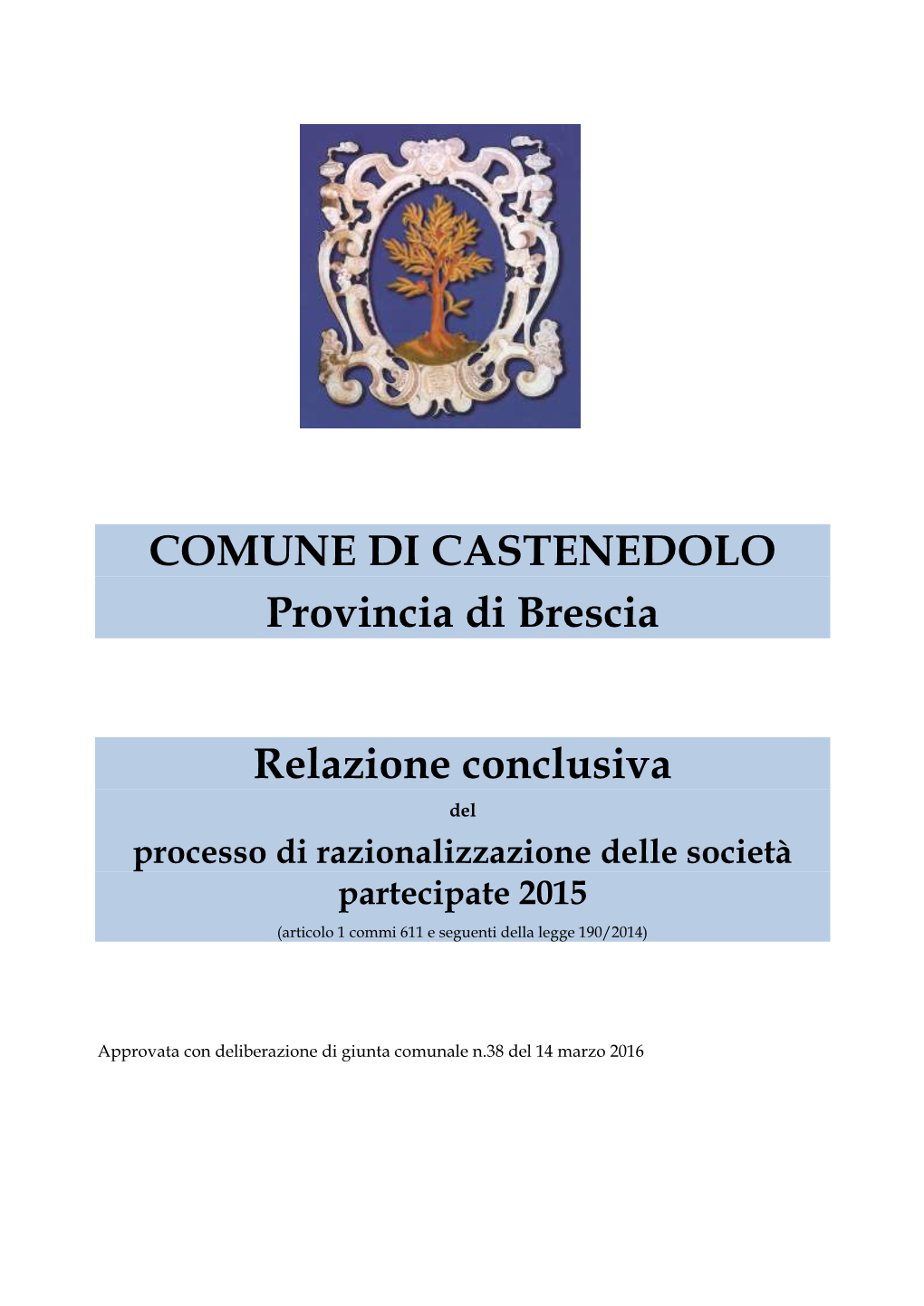 COMUNE DI CASTENEDOLO Provincia Di Brescia Relazione