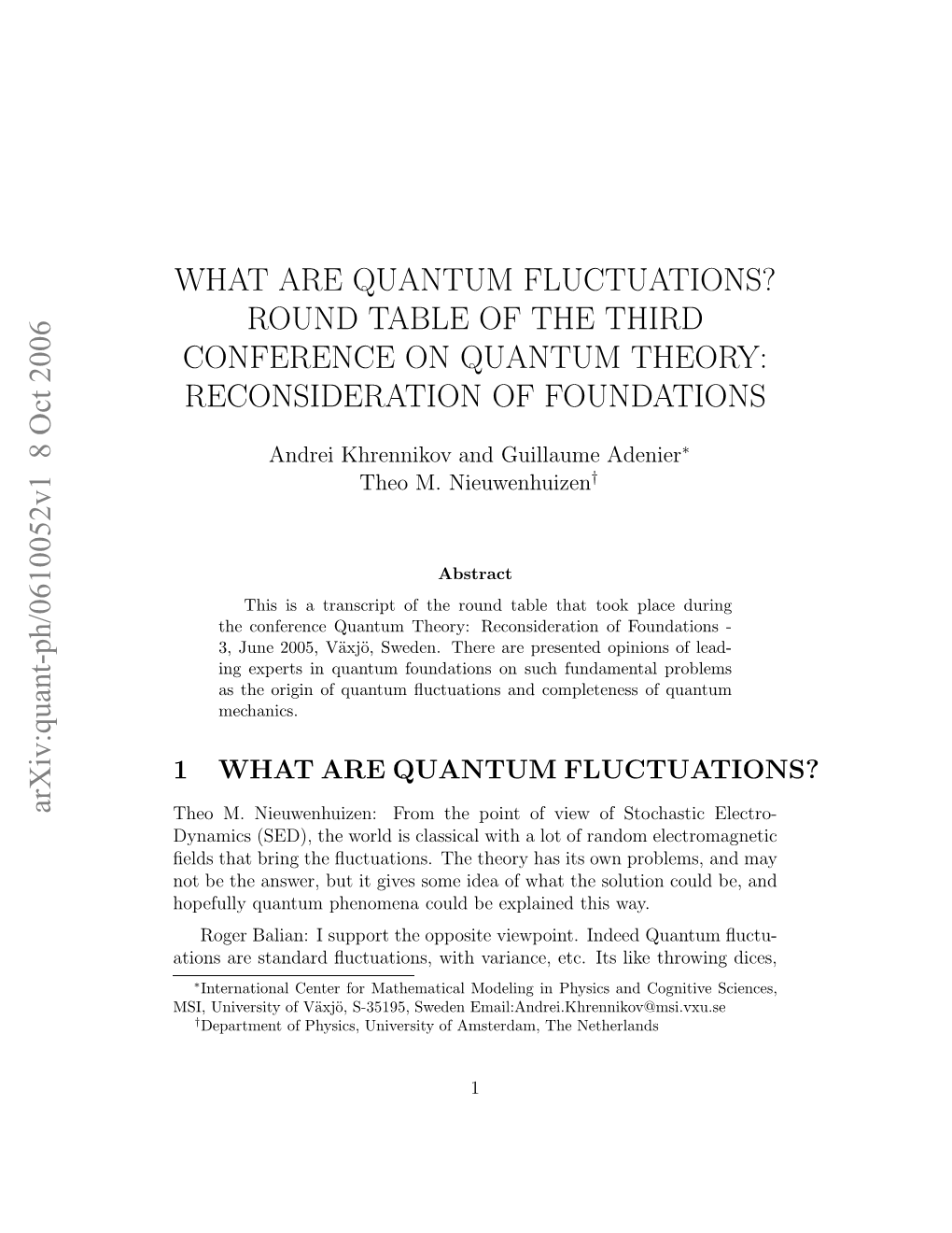 What Are Quantum Fluctuations? Round Table of the Third