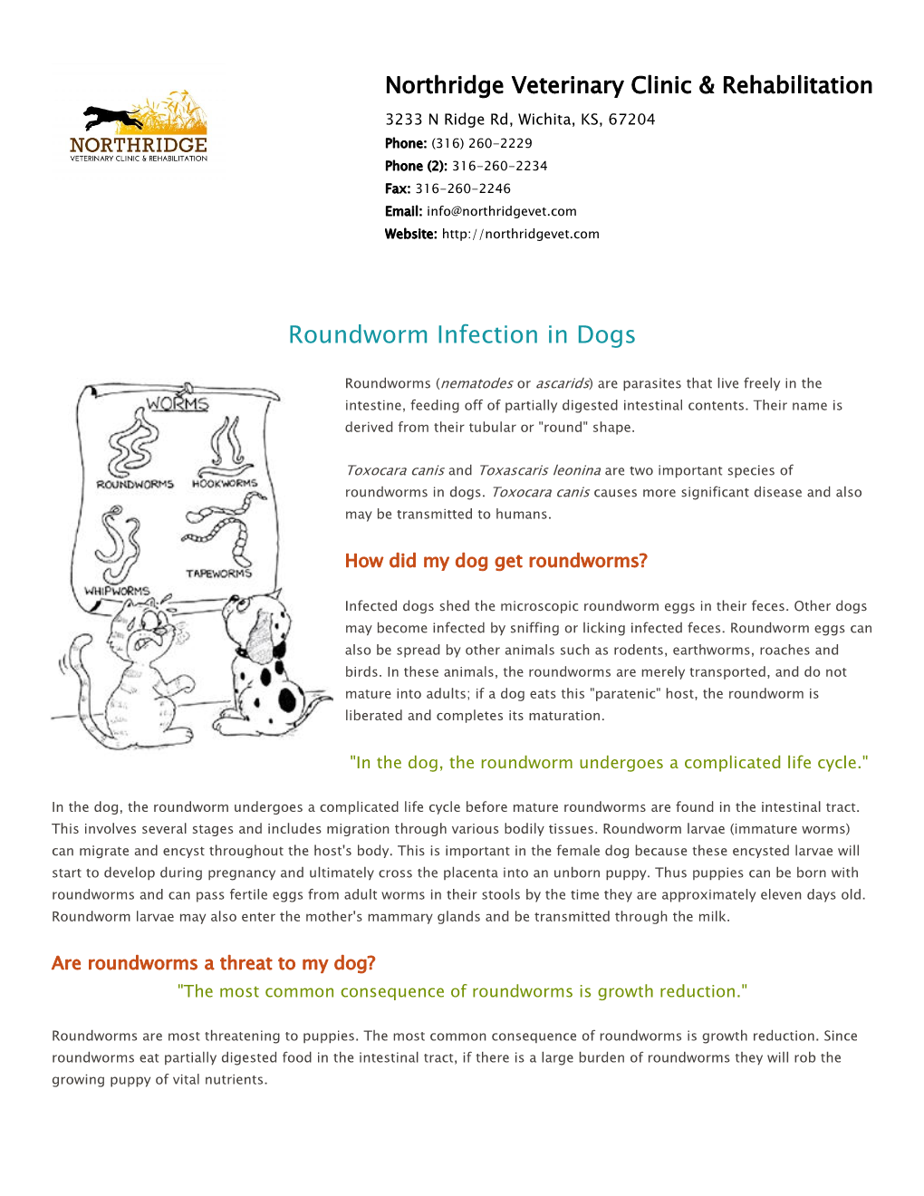 Roundworm Infection in Dogs