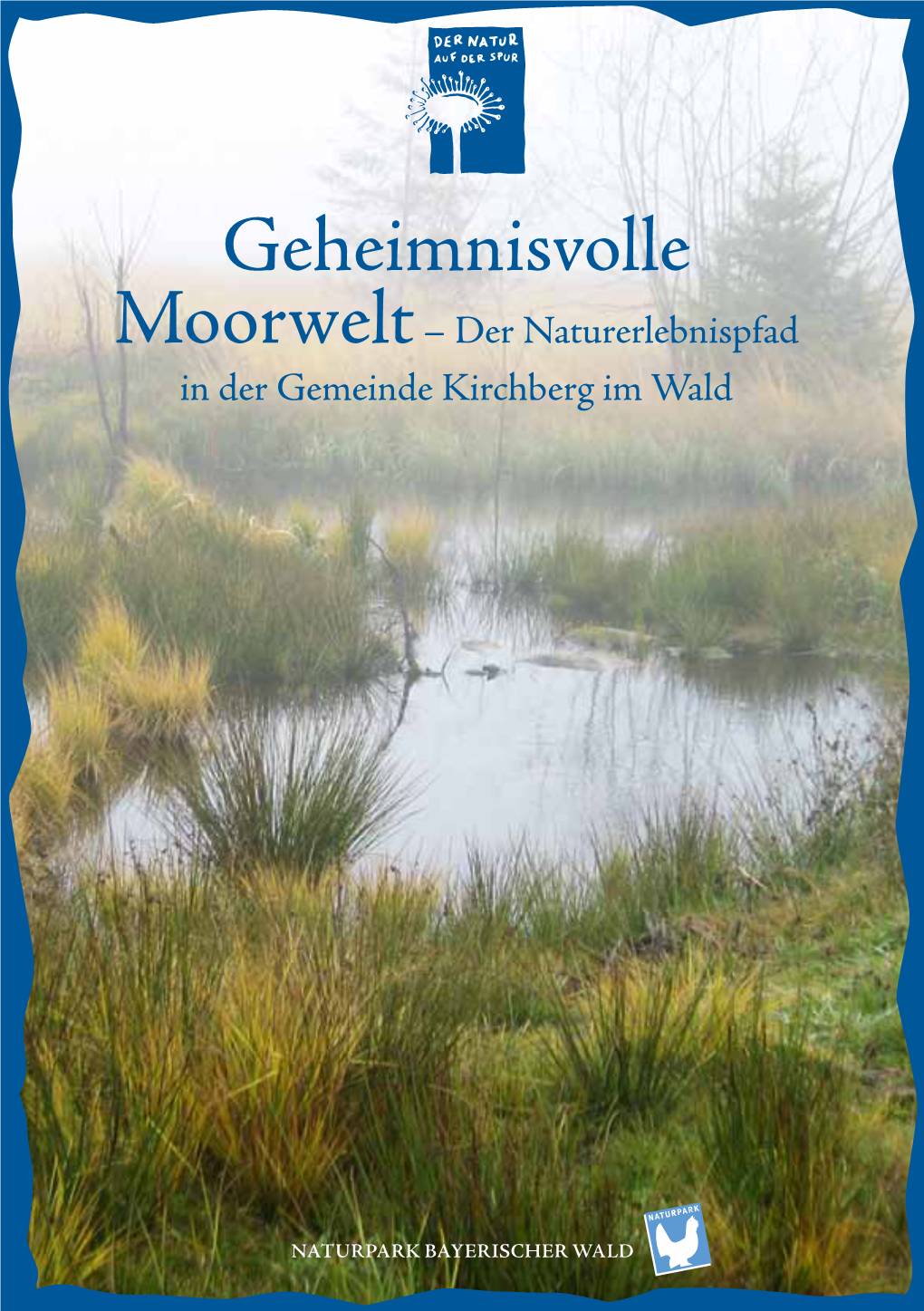 Geheimnisvolle Moorwelt – Der Naturerlebnispfad in Der Gemeinde Kirchberg Im Wald