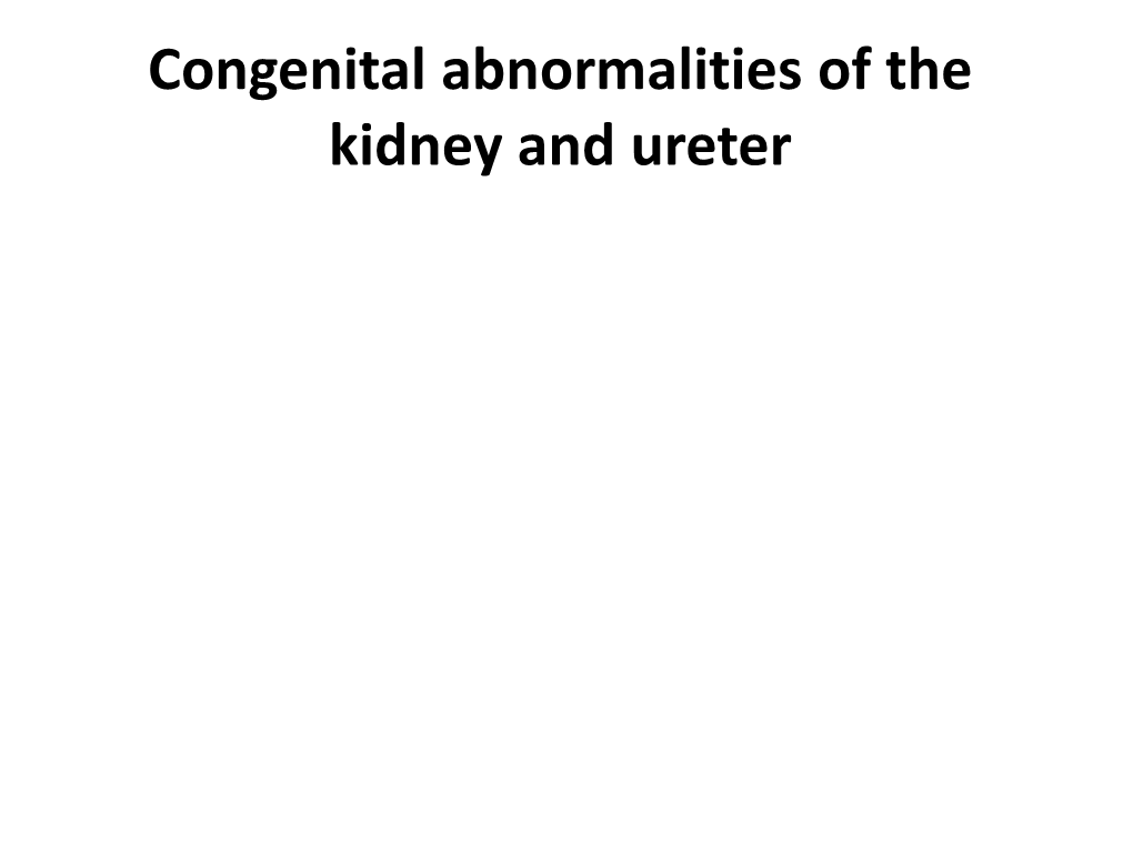 Congenital Abnormalities of the Kidney and Ureter Embryology of the Kidney and Ureter