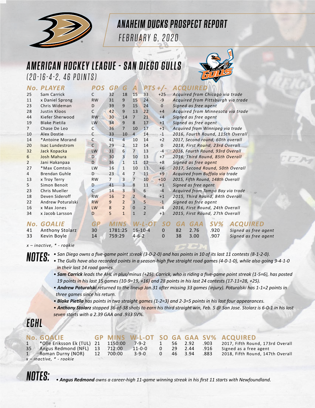 Anaheim Ducks Prospect Report American Hockey League