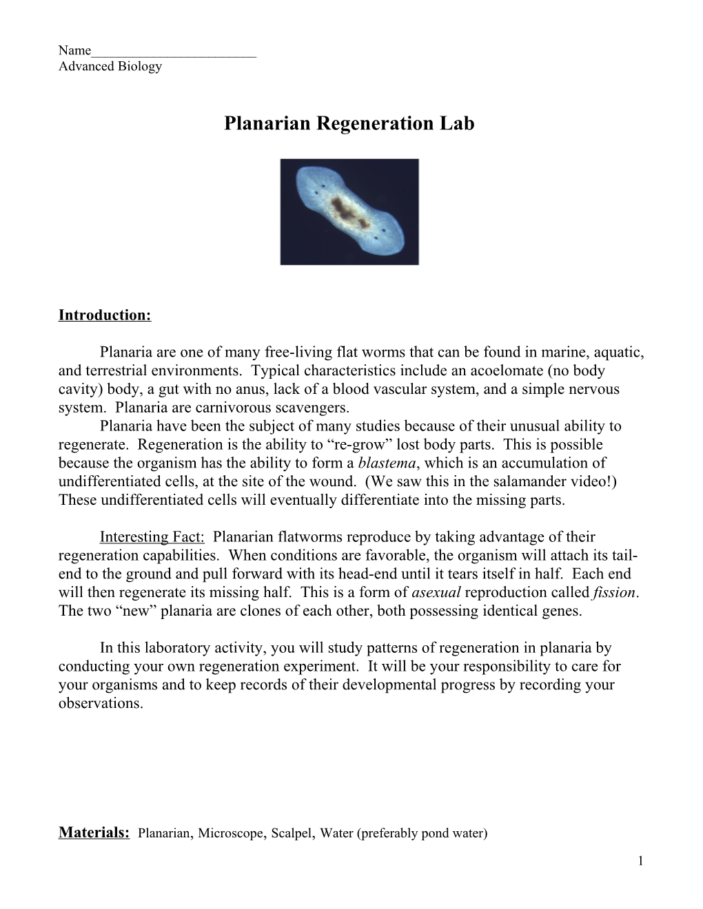 Planarian Regeneration Lab