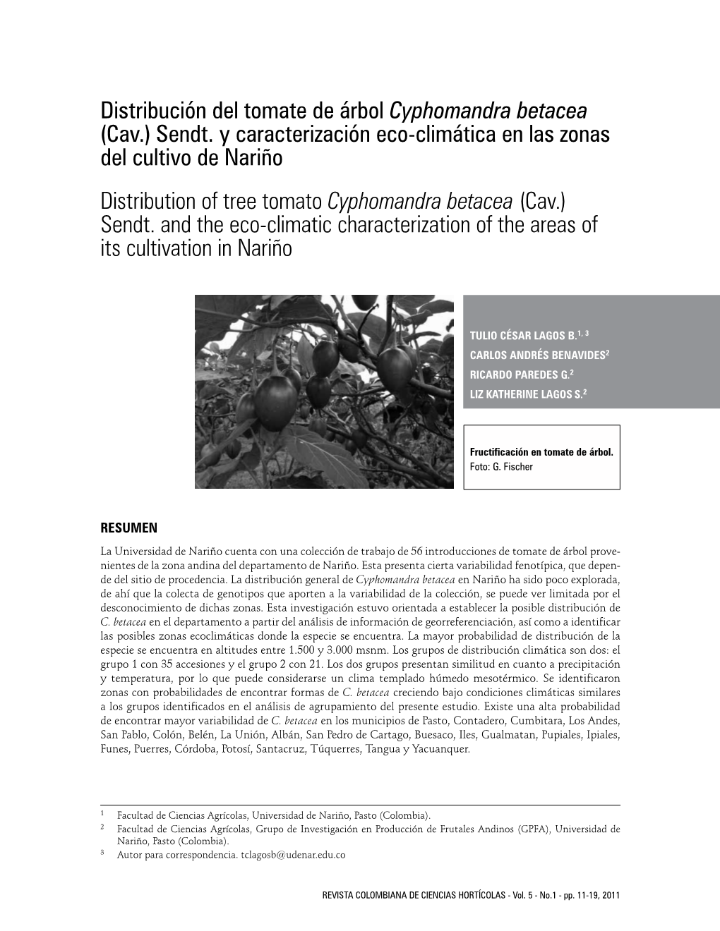 Distribución Del Tomate De Árbol Cyphomandra Betacea (Cav.) Sendt