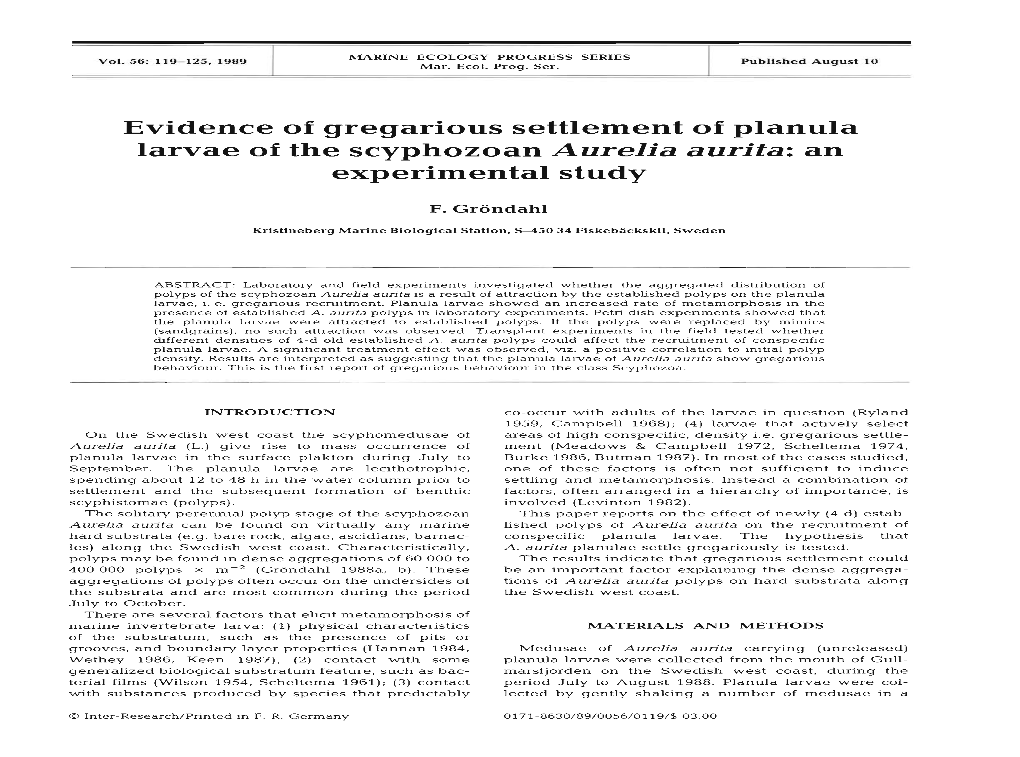 Evidence of Gregarious Settlement of Planula Larvae of the Scyphozoan Aurelia Aurita: an Experimental Study