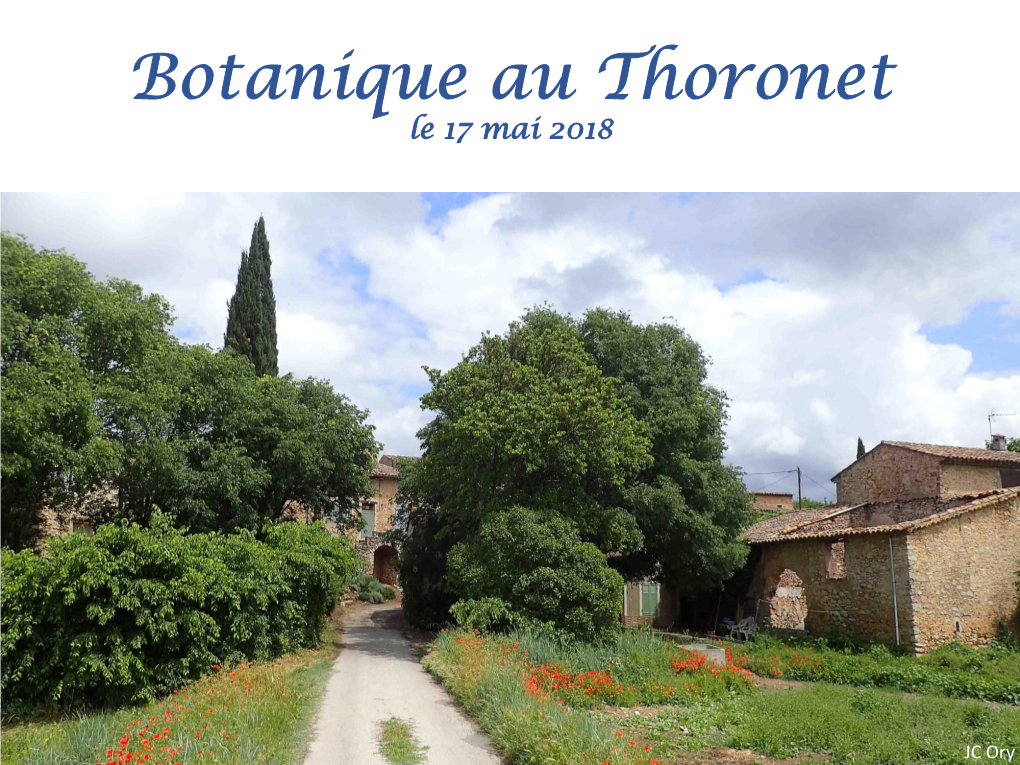 Botanique Au Thoronet Le 17 Mai 2018