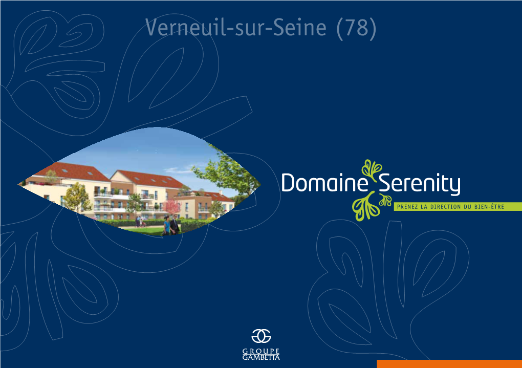 Verneuil-Sur-Seine (78)