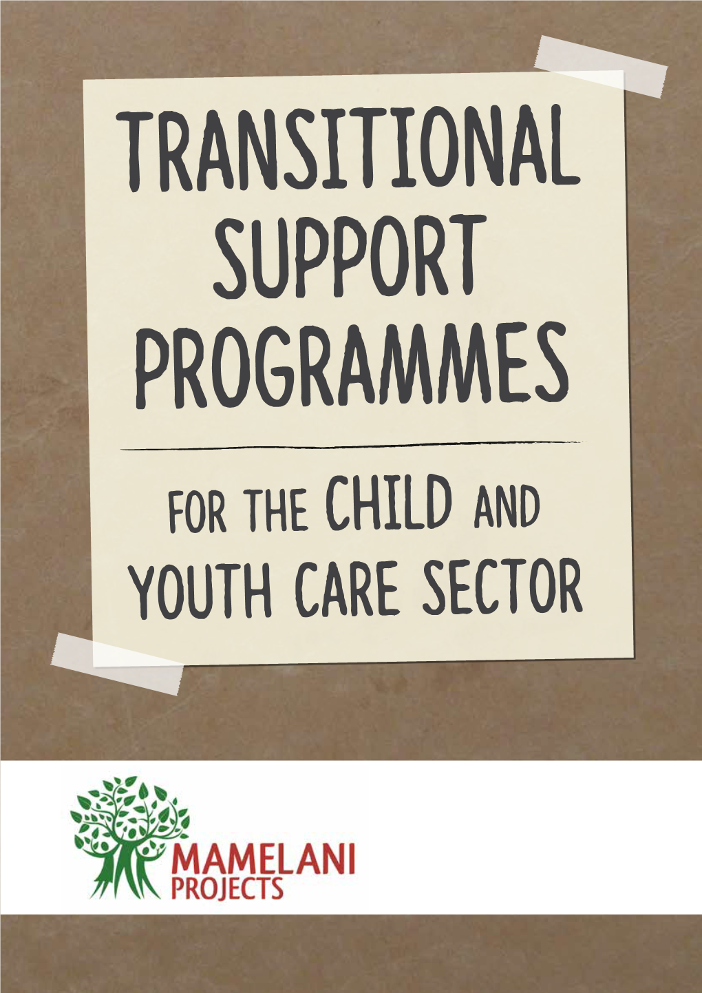 Transitional Support Programmes for the Child and Youth Care Sector.Pdf