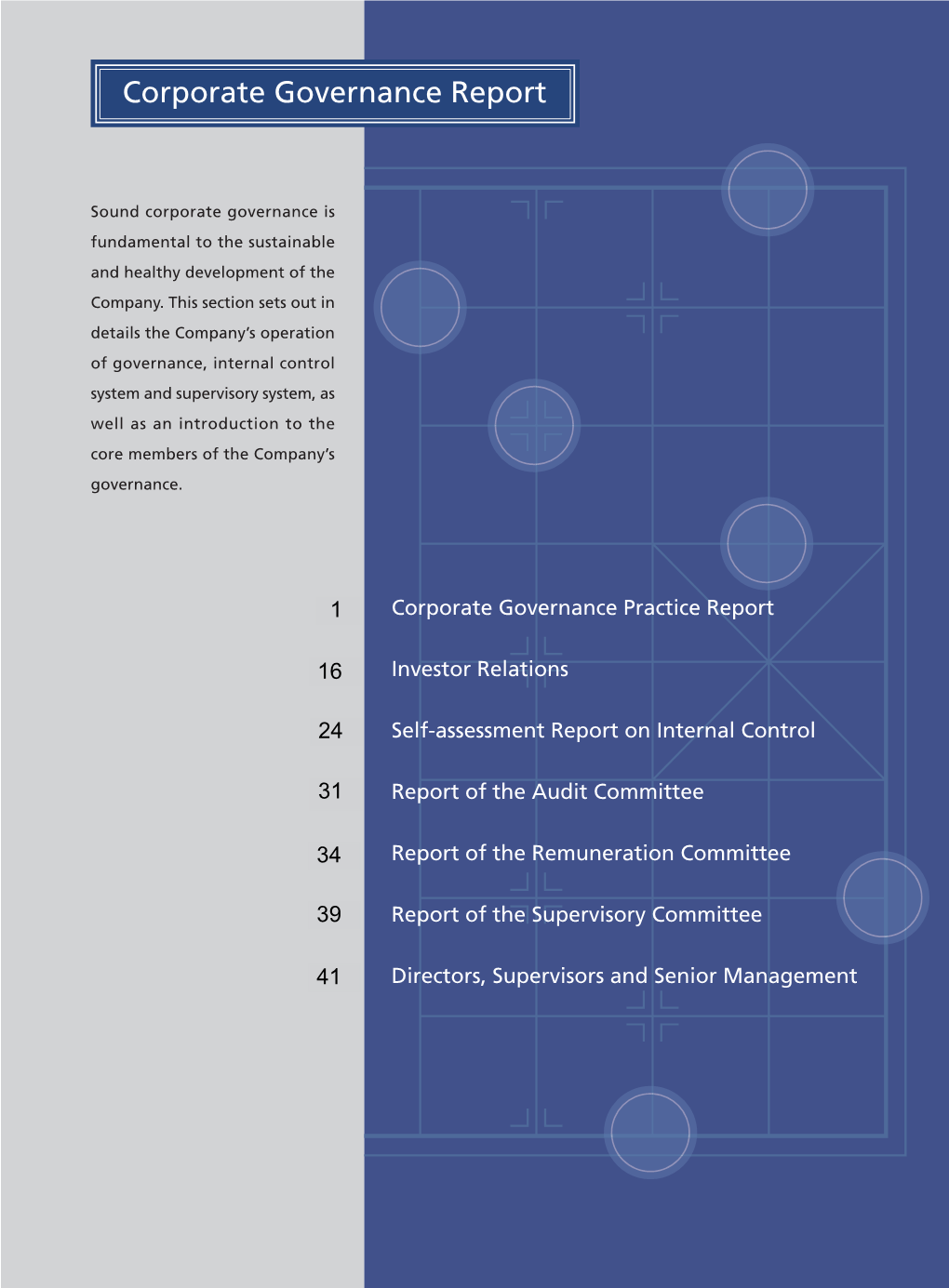 Corporate Governance Report (2010)