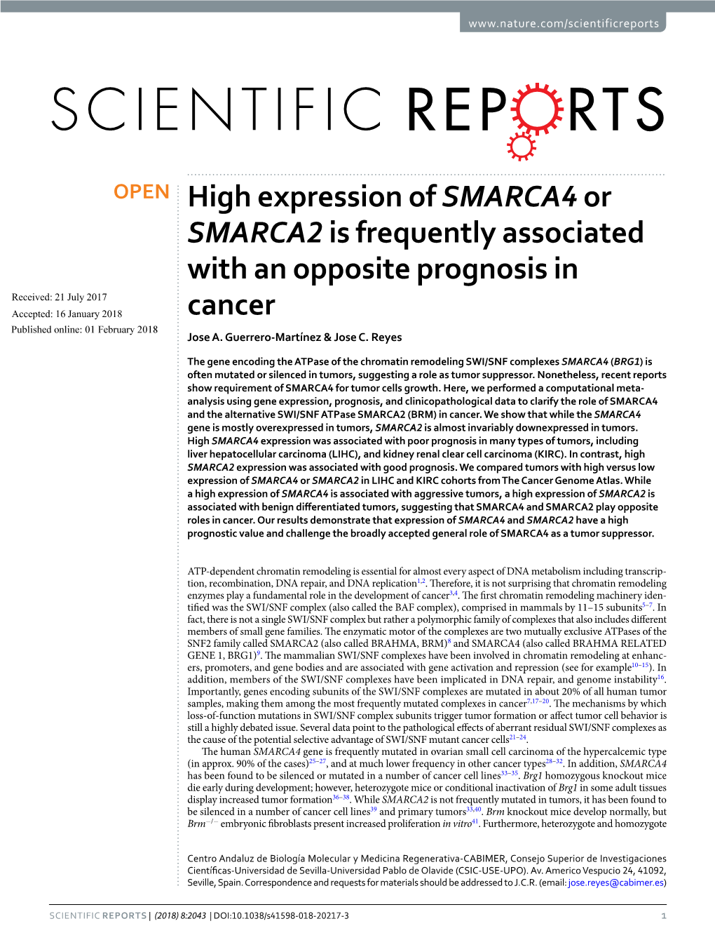 High Expression of SMARCA4 Or SMARCA2 Is Frequently Associated