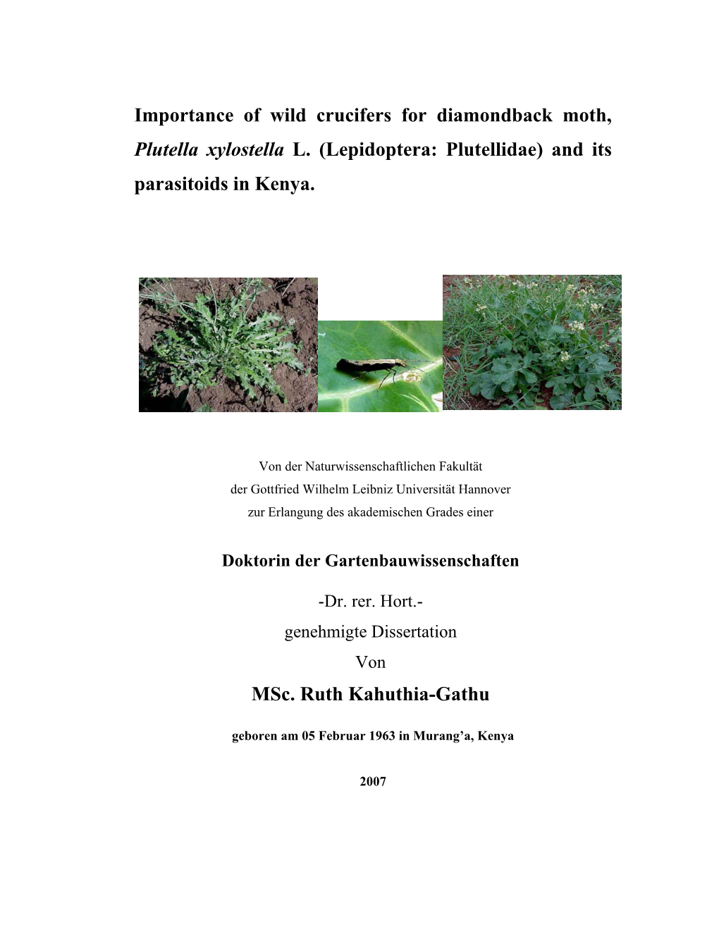 Importance of Wild Crucifers for Diamondback Moth, Plutella Xylostella L