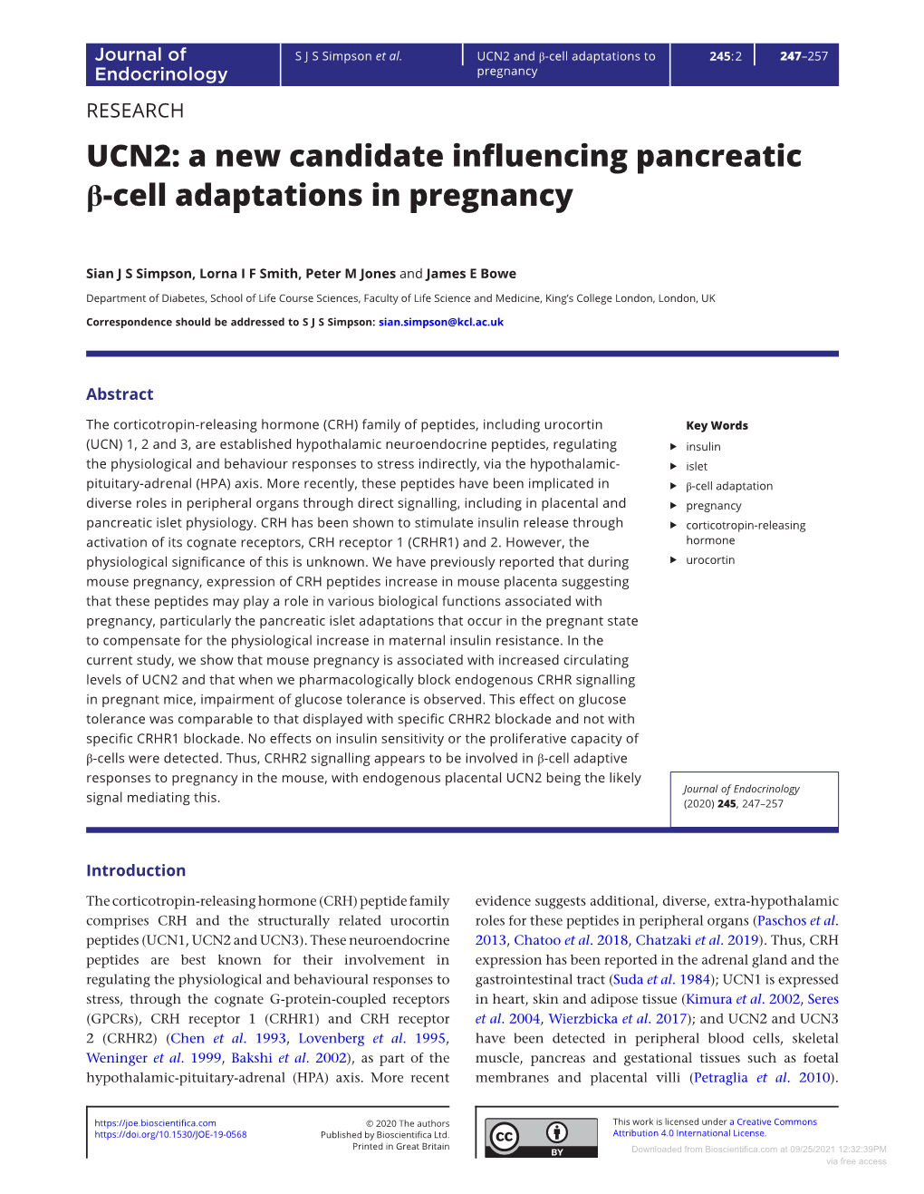 UCN2: a New Candidate Influencing Pancreatic Β-Cell Adaptations in Pregnancy