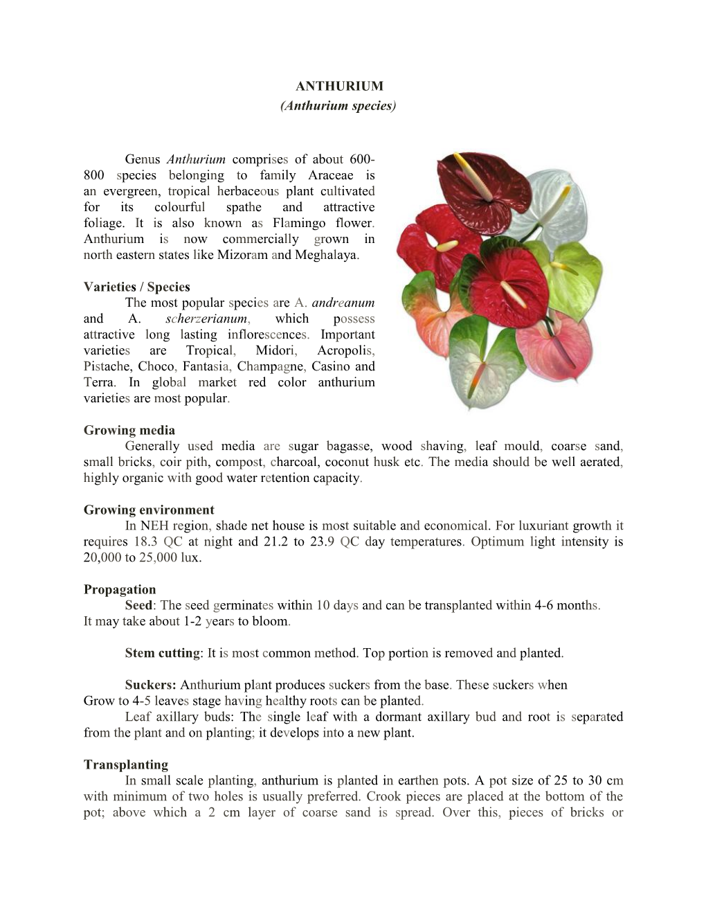 Genus Anthurium Comprises of About