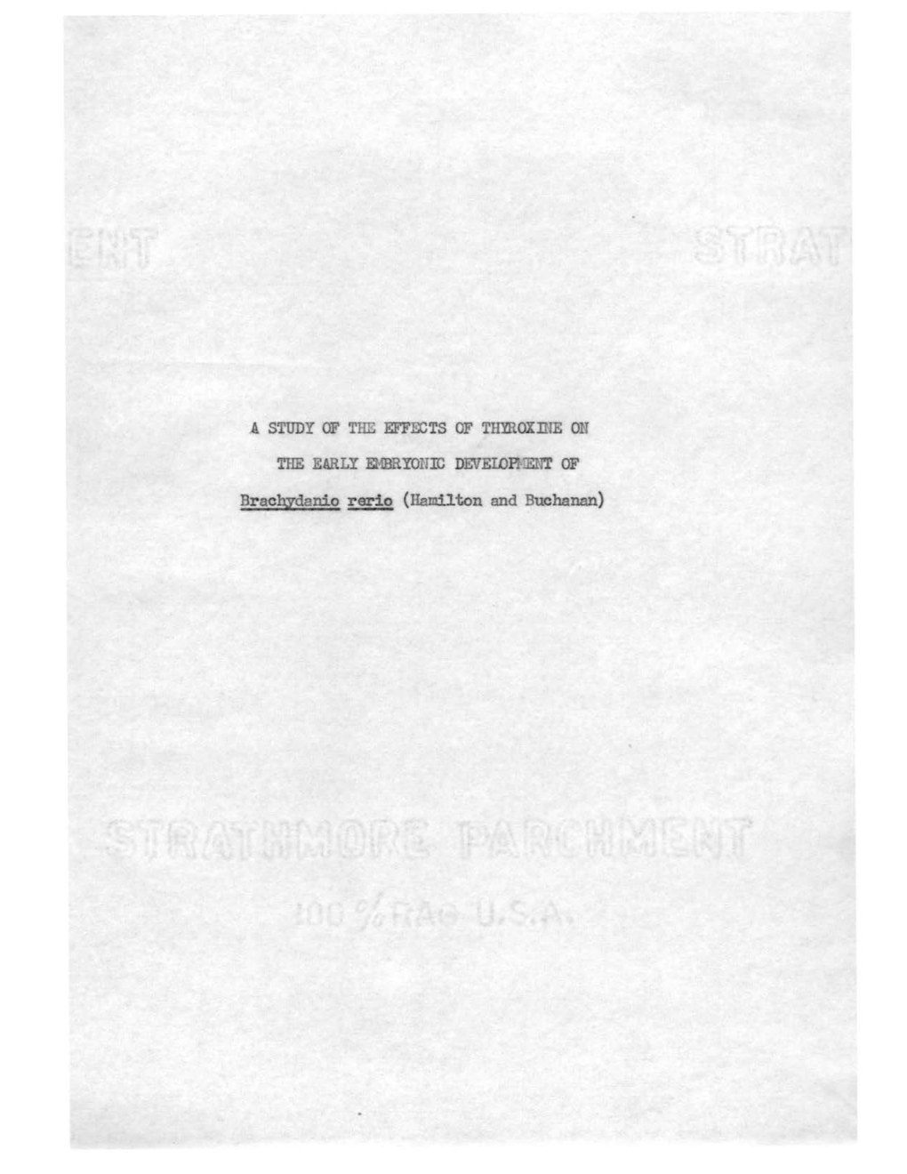 Brachydanio Rerio (Hamilton and Buchanan) a Sttldy of the EFFECTS of 'L'hyroxine on the EARLY