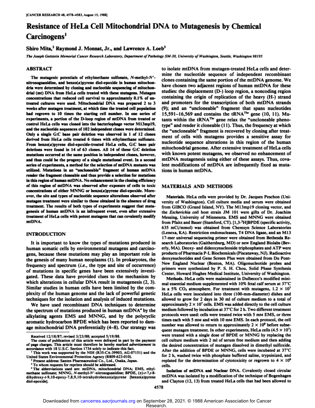 Resistance of Hela Cell Mitochondrial DNA to Mutagenesis by Chemical Carcinogens1