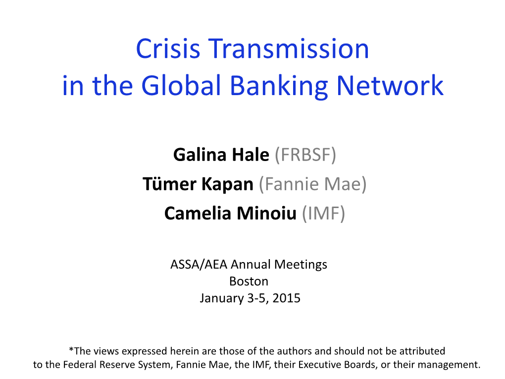 Crisis Transmission in the Global Banking Network