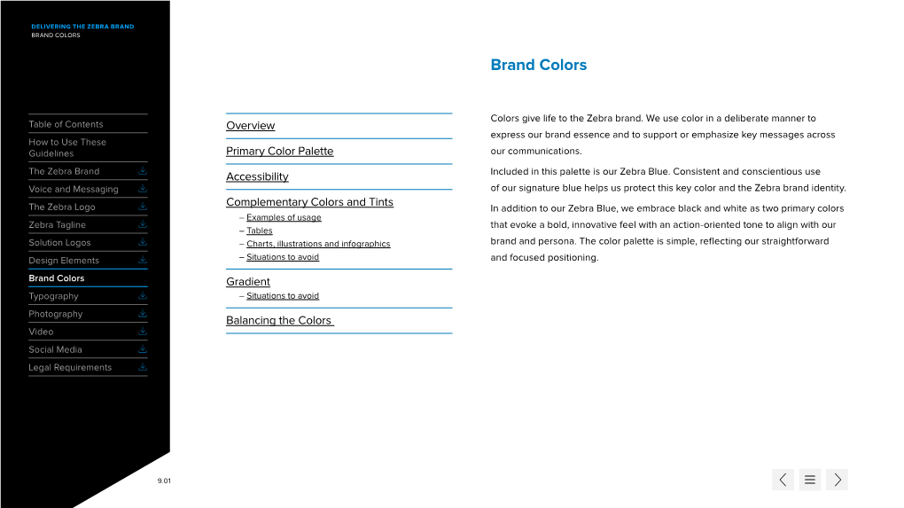 Brand Guidelines Section: Colors