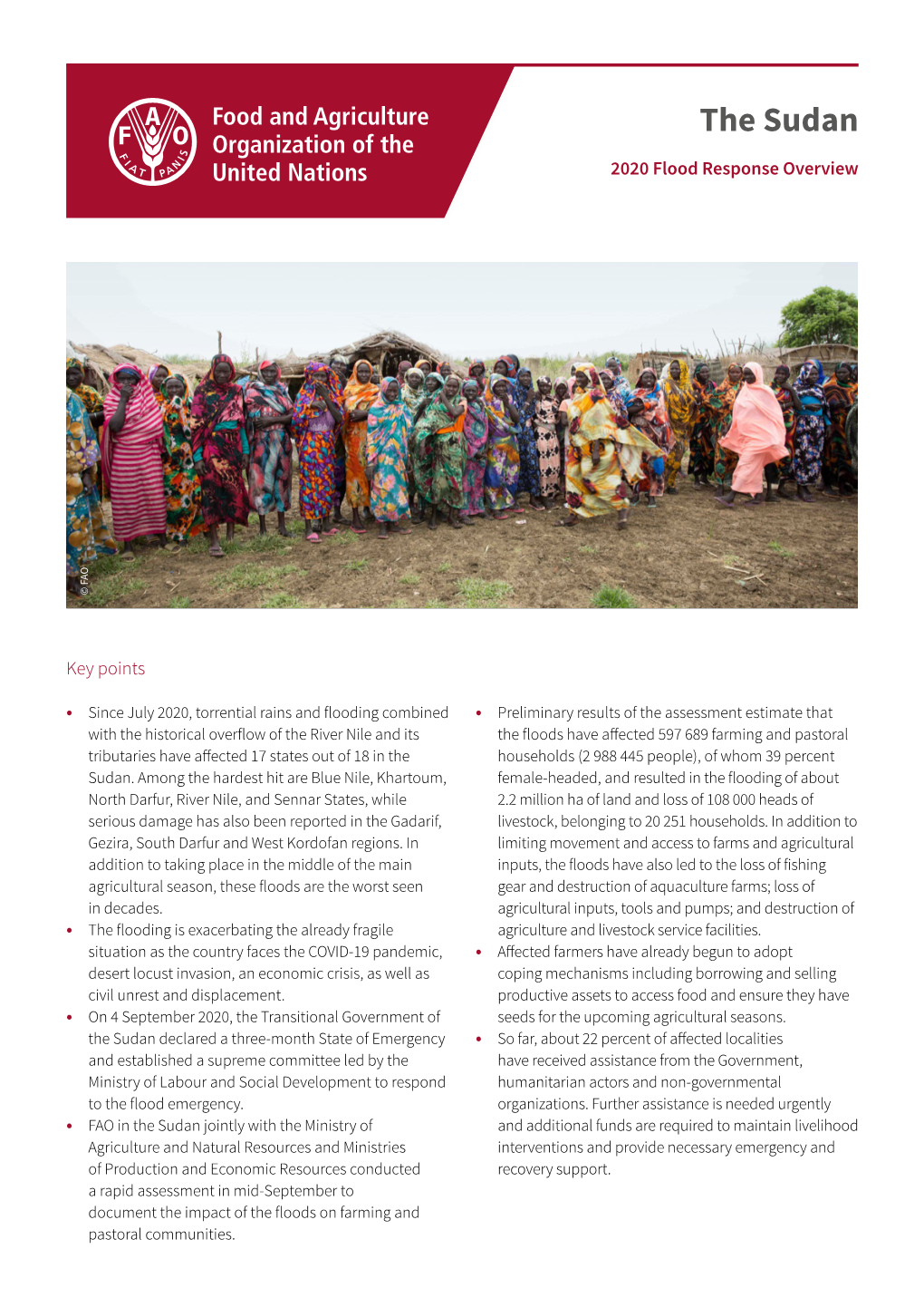 Sudan 2020 Flood Response Overview © FAO