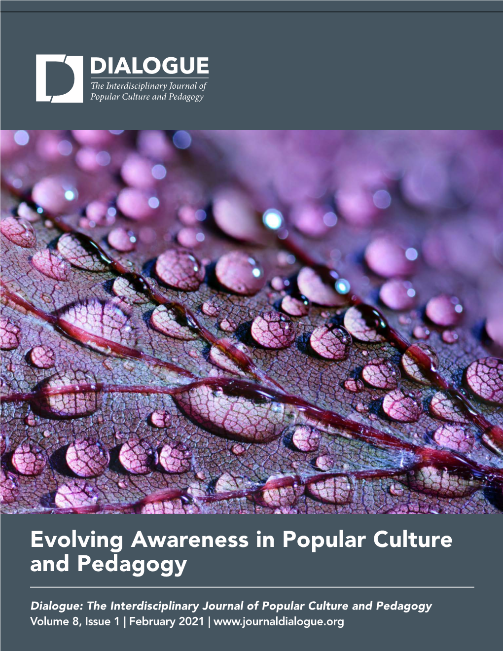 Evolving Awareness in Popular Culture and Pedagogy