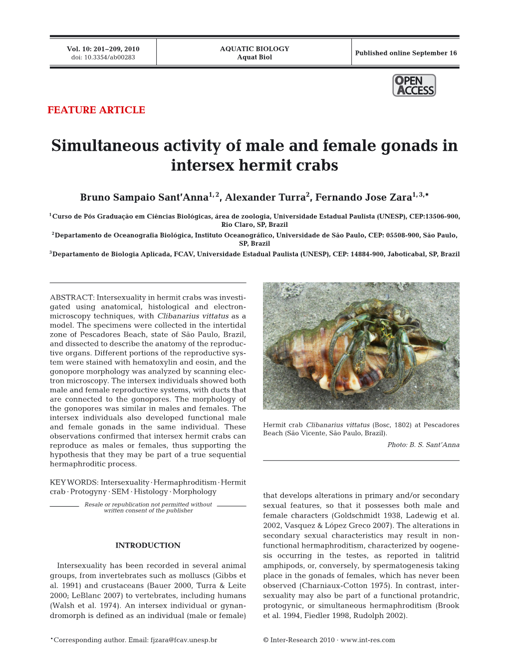 Simultaneous Activity of Male and Female Gonads in Intersex Hermit Crabs