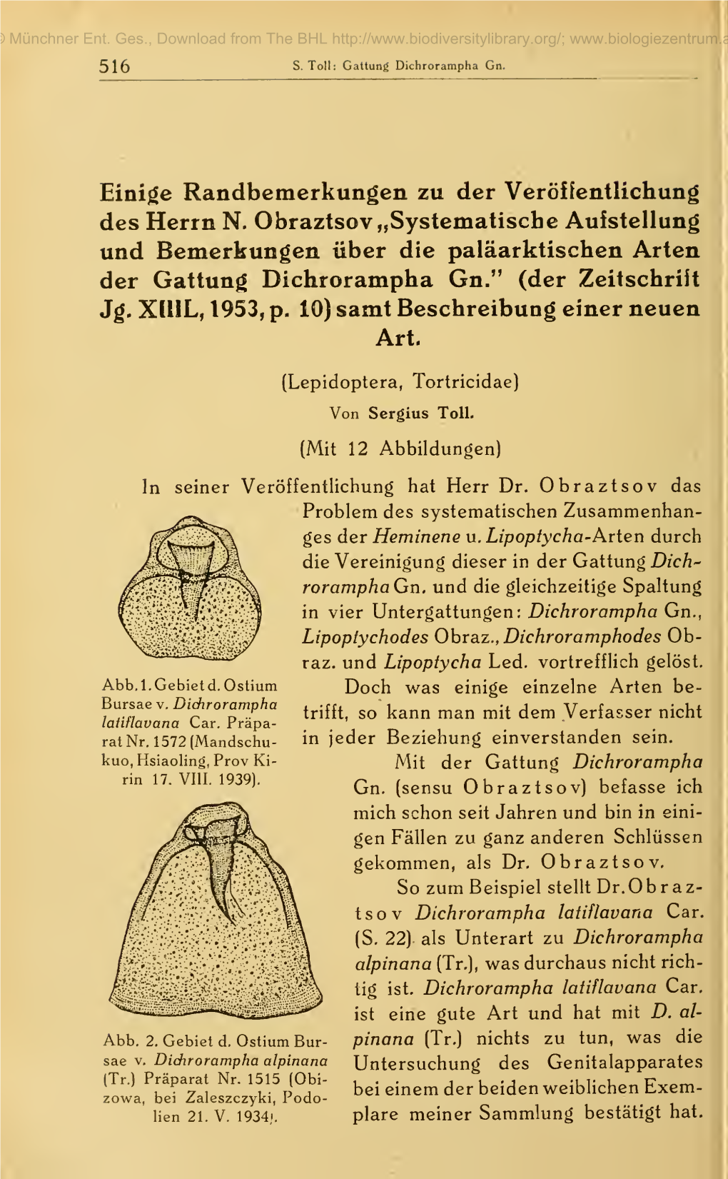 Mitteilungen Der Münchner Entomologischen Gesellschaft